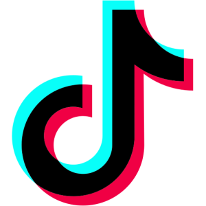 TikTok video Download one click